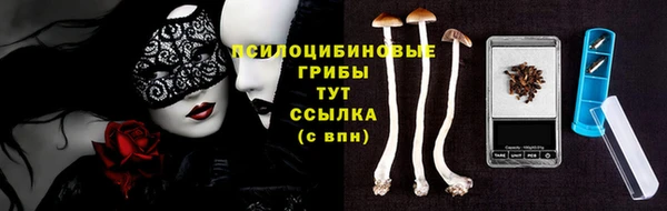 ПСИЛОЦИБИНОВЫЕ ГРИБЫ Ладушкин