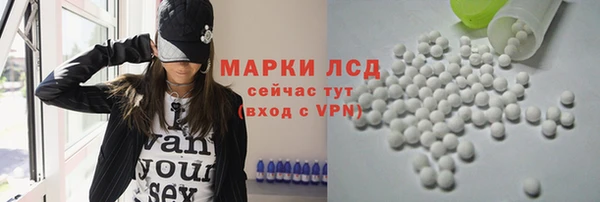 ПСИЛОЦИБИНОВЫЕ ГРИБЫ Ладушкин