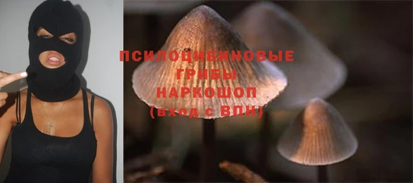 ПСИЛОЦИБИНОВЫЕ ГРИБЫ Ладушкин