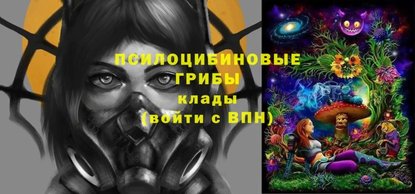 ПСИЛОЦИБИНОВЫЕ ГРИБЫ Ладушкин