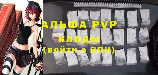 ПСИЛОЦИБИНОВЫЕ ГРИБЫ Ладушкин